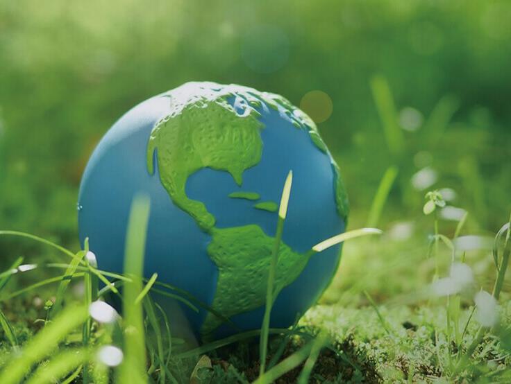 Address the environmental impact of pregnancy tests