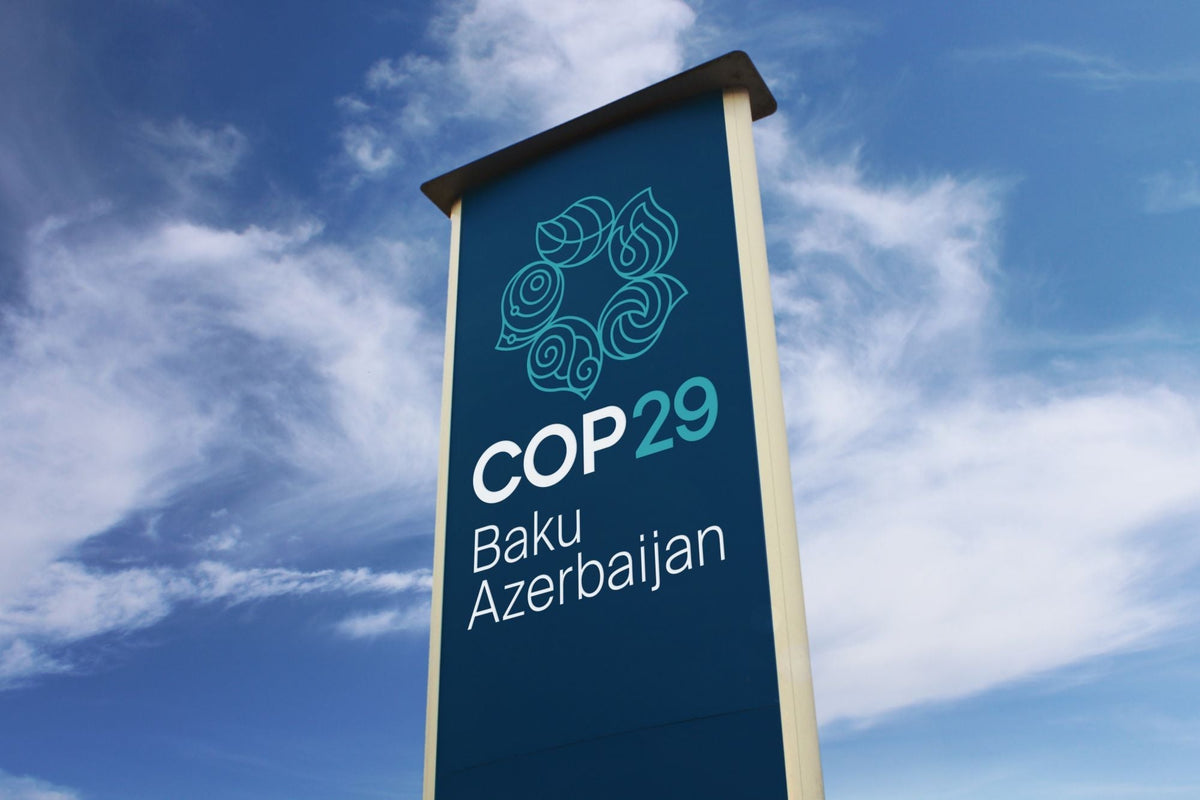COP29: A Milestone in Global Climate Action