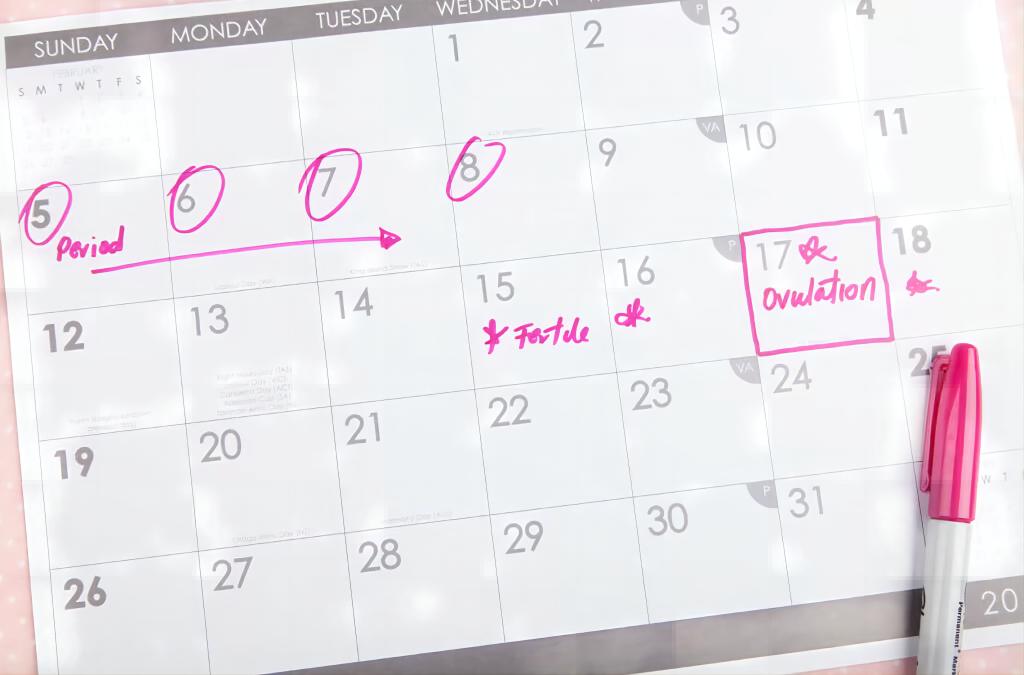 The Rise of Reusable Digital Ovulation Tests
