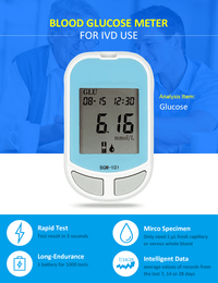 BGM-101 Blood Glucose Meter - Hangzhou Medasia Trading