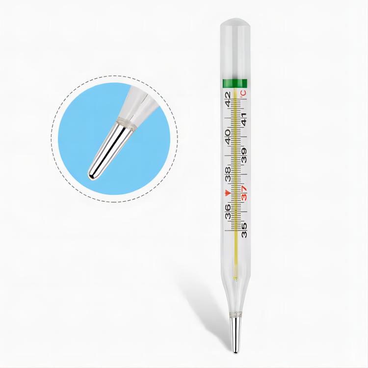 Mercury Free Thermometer with shaking plastic case